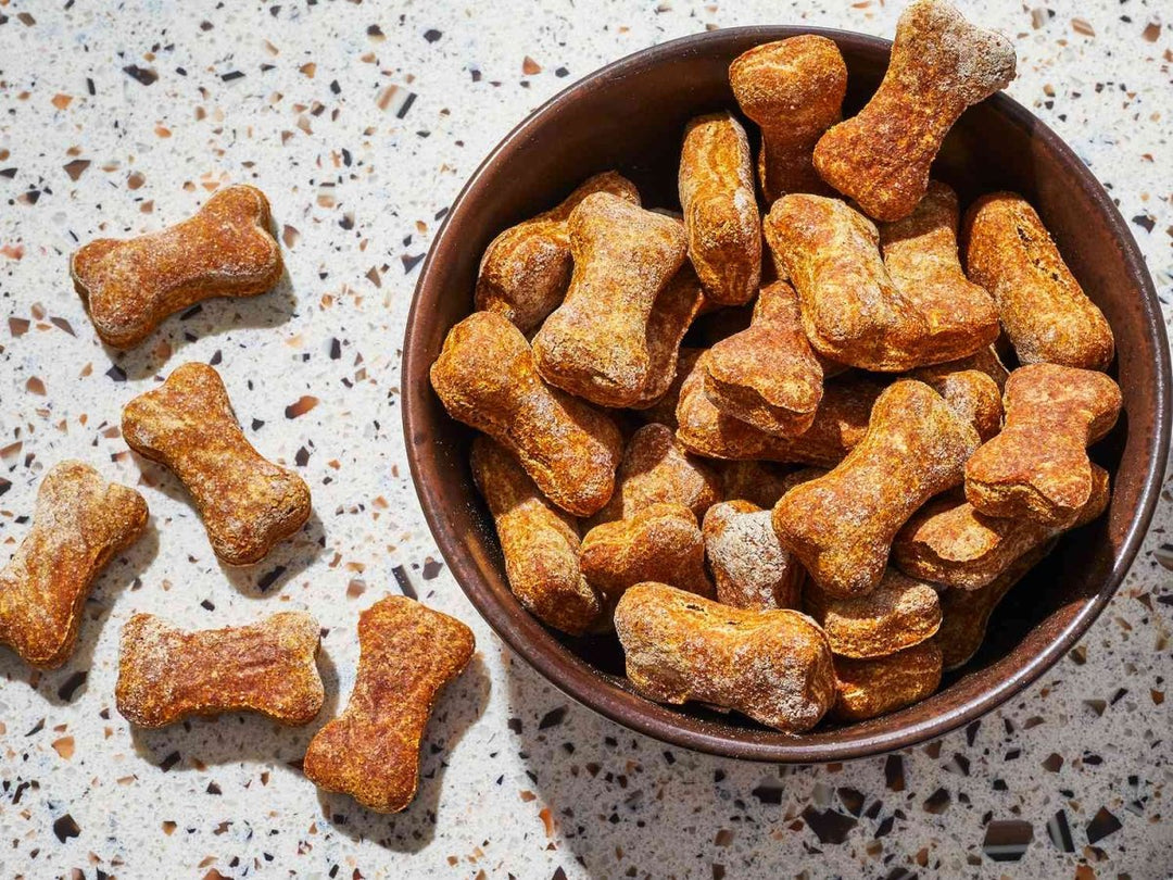 Homemade Dog Treat Recipes for a Happy Dog - Pups And Pals