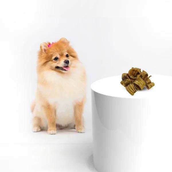 The Benefits Of Natural Dog Treats For Proper Nutrition ? - Pups And Pals