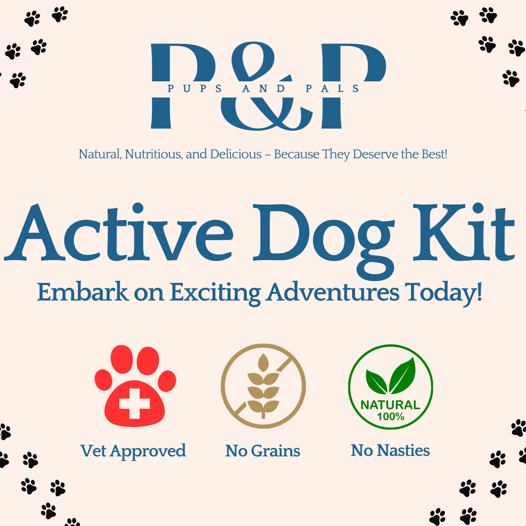 Active Dog Adventure Kit | Huge All-In-One Bundle