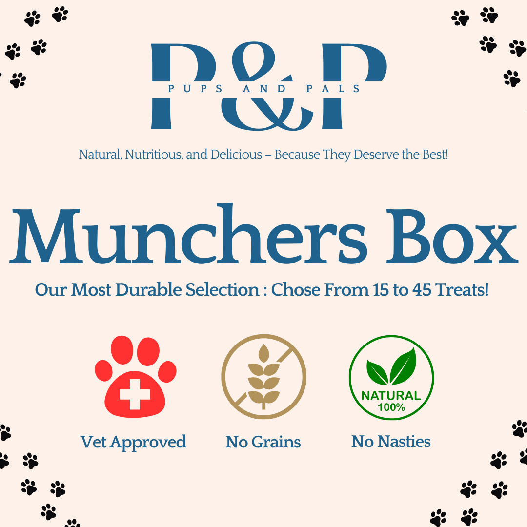 Make Your Own Munchers Box |15-45 Only Durable Treats!