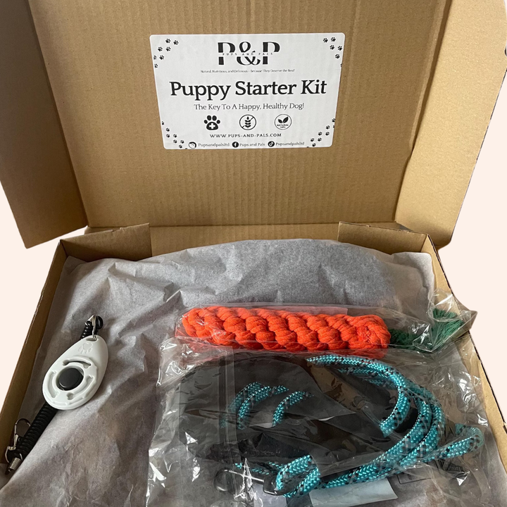 Complete Puppy Starter Kit | Perfect For New Owners