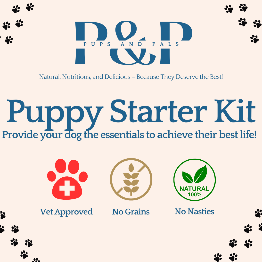 Complete Puppy Starter Kit | Perfect For New Owners