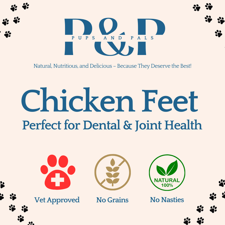 Natural Dried Chicken Feet | 15 to 200 Crunchy Dog Treats