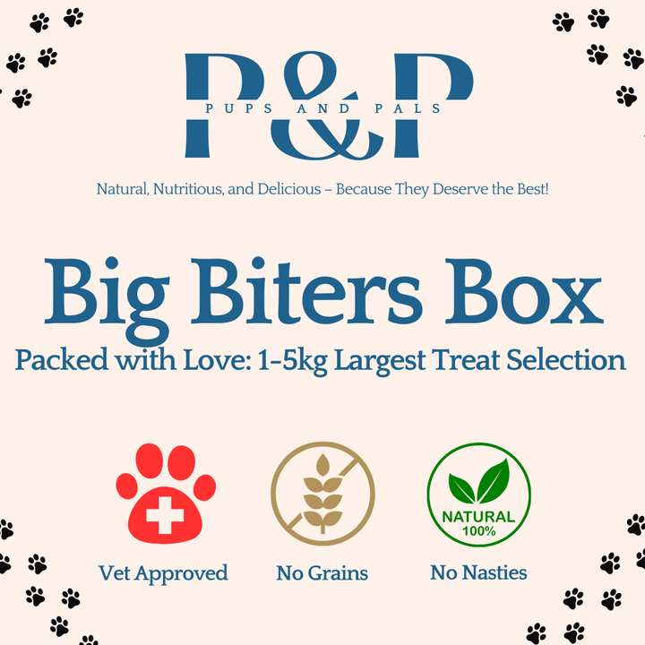 Big Biters Treat Box | 1kg to 5kg Durable Treats