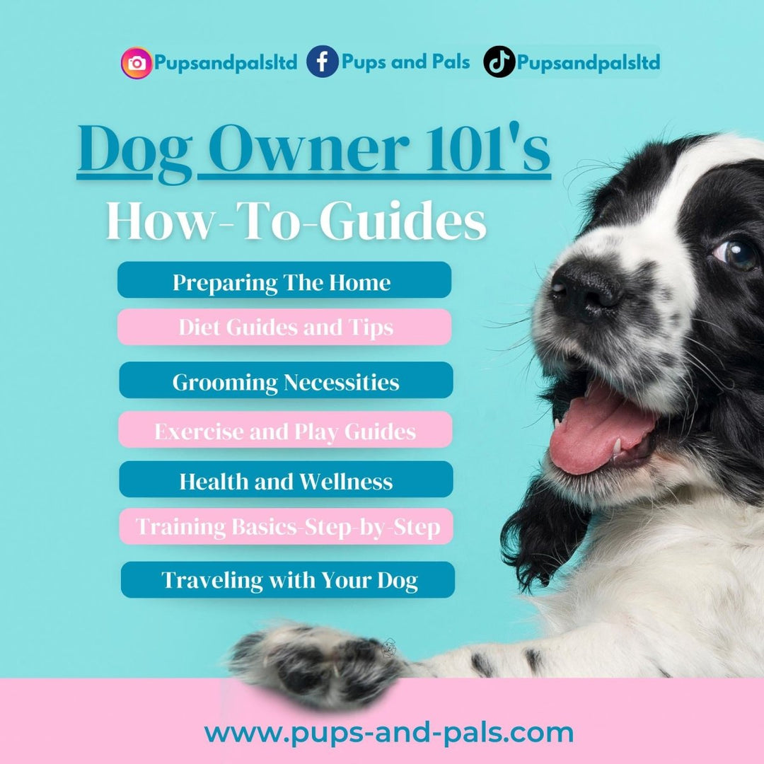 All - In - One Dog Owner Guide (80+ Pages) | Expert - Planners, Training & Health Guides | Making Dogs Easy | Custom Checklists | Dog Recipes All - In - One Dog Owner Guide (80+ Pages) | Expert - Planners, Training & Health Guides | Making Dogs Easy | Custom Checklists | Dog Recipes Pups And Pals