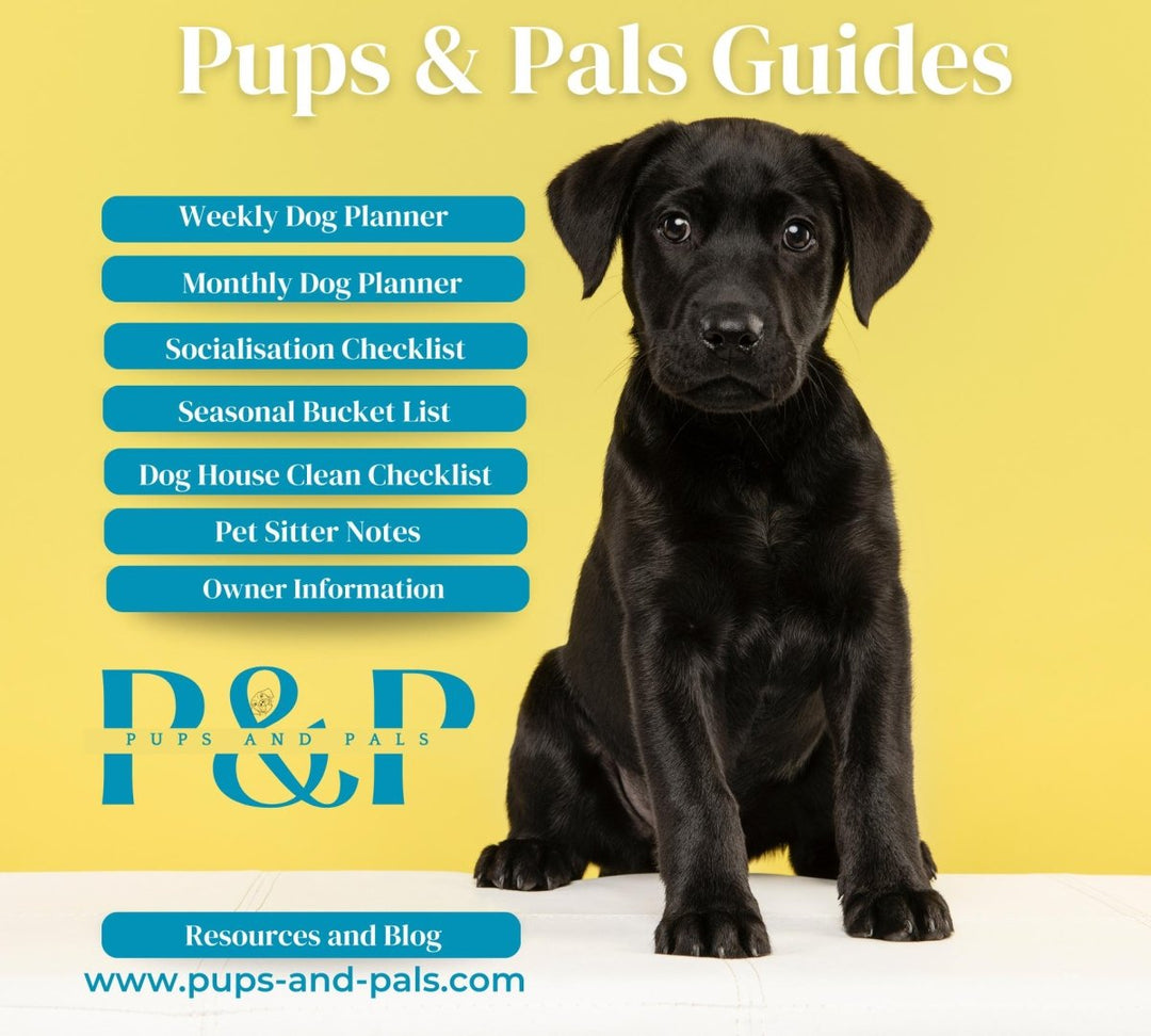 All - In - One Dog Owner Guide (80+ Pages) | Expert - Planners, Training & Health Guides | Making Dogs Easy | Custom Checklists | Dog Recipes All - In - One Dog Owner Guide (80+ Pages) | Expert - Planners, Training & Health Guides | Making Dogs Easy | Custom Checklists | Dog Recipes Pups And Pals