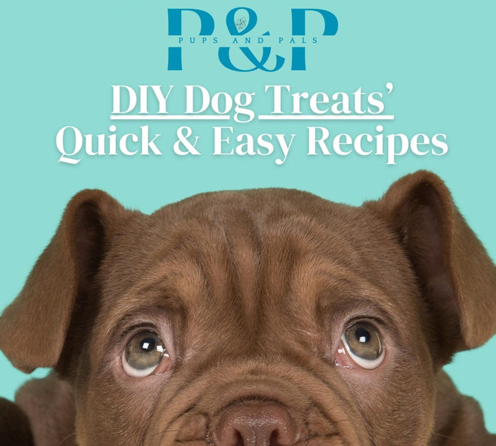 All - In - One Dog Owner Guide (80+ Pages) | Expert - Planners, Training & Health Guides | Making Dogs Easy | Custom Checklists | Dog Recipes All - In - One Dog Owner Guide (80+ Pages) | Expert - Planners, Training & Health Guides | Making Dogs Easy | Custom Checklists | Dog Recipes Pups And Pals