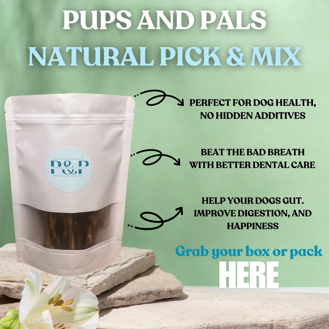 Custom Pick & Mix Dog Treat Box | Suits All Breeds! | Ideal Gift+Daily Treats | Forget Dog Bday Cakes, These Are 100% Natural | Spend + Save Custom Pick & Mix Dog Treat Box | Suits All Breeds! | Ideal Gift+Daily Treats | Forget Dog Bday Cakes, These Are 100% Natural | Spend + Save Pups And Pals