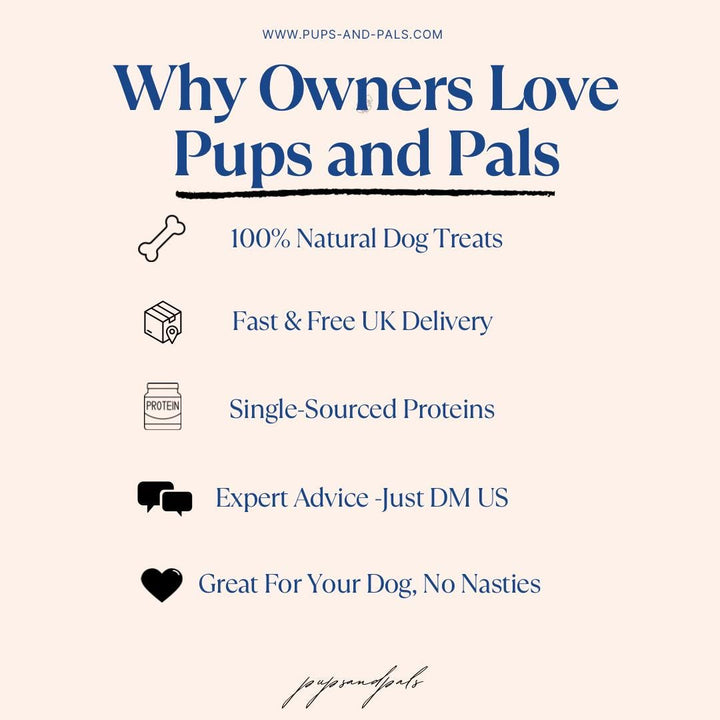 Dog Peanut Butter Box | Natural, No Palm Oils