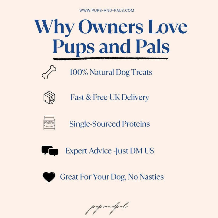 Luxury Dog Paté Bundle | 5 Gourmet Flavours