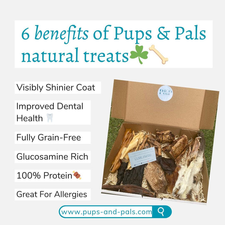 Mega Custom Treat Box - Best Value Box Around - Fast and Free Delivery - Quality Ingredients for Happy, Healthy Dogs - Lasts One Dog 6 Weeks Mega Custom Treat Box - Best Value Box Around - Fast and Free Delivery - Quality Ingredients for Happy, Healthy Dogs - Lasts One Dog 6 Weeks Pups And Pals