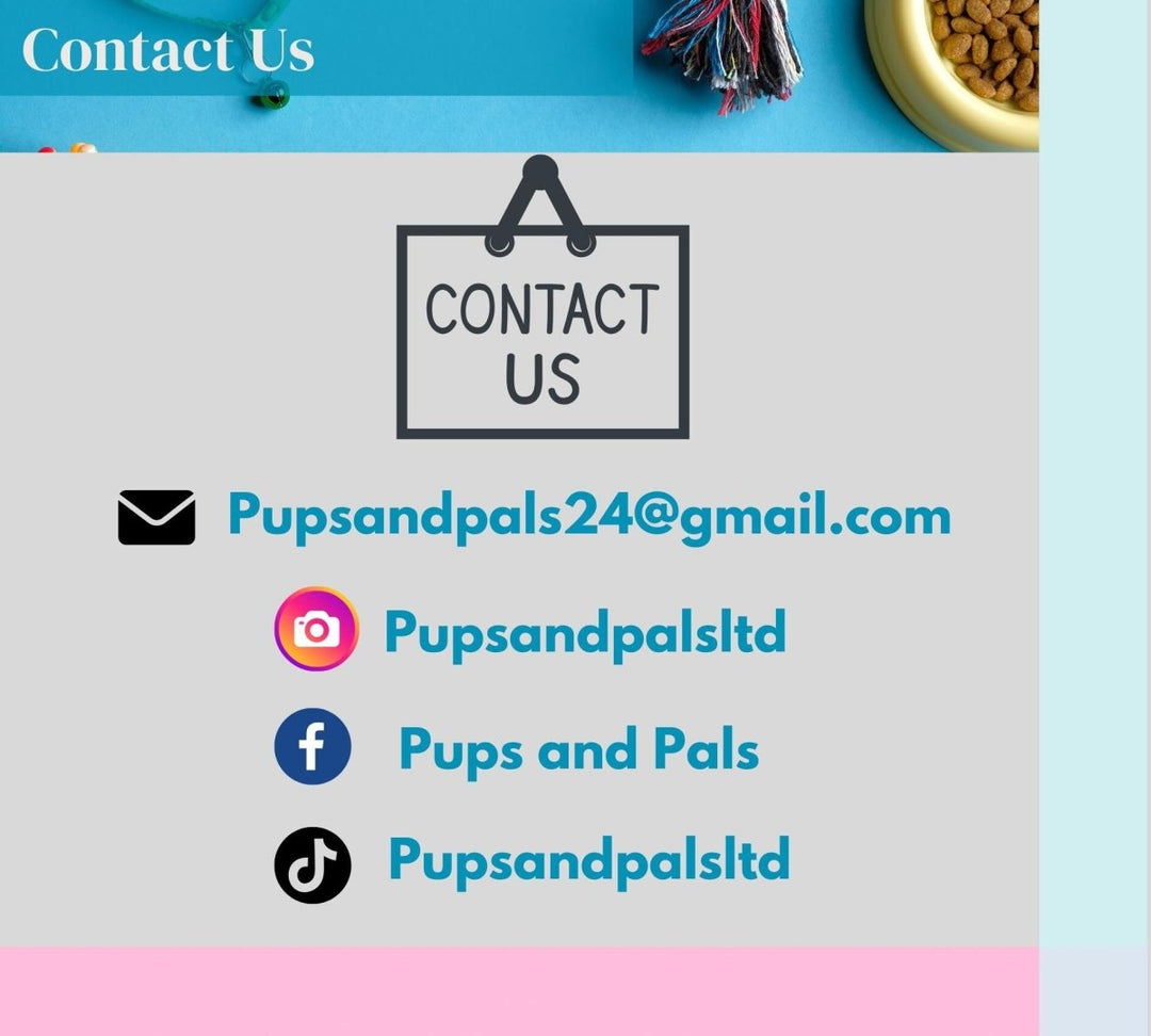 Personal Dog Owner's Planner | Weekly & Monthly Guides + Checklists | Socialisation and Care Tips | Digital Download (Custom) | Perfect Gift Personal Dog Owner's Planner | Weekly & Monthly Guides + Checklists | Socialisation and Care Tips | Digital Download (Custom) | Perfect Gift Pups And Pals