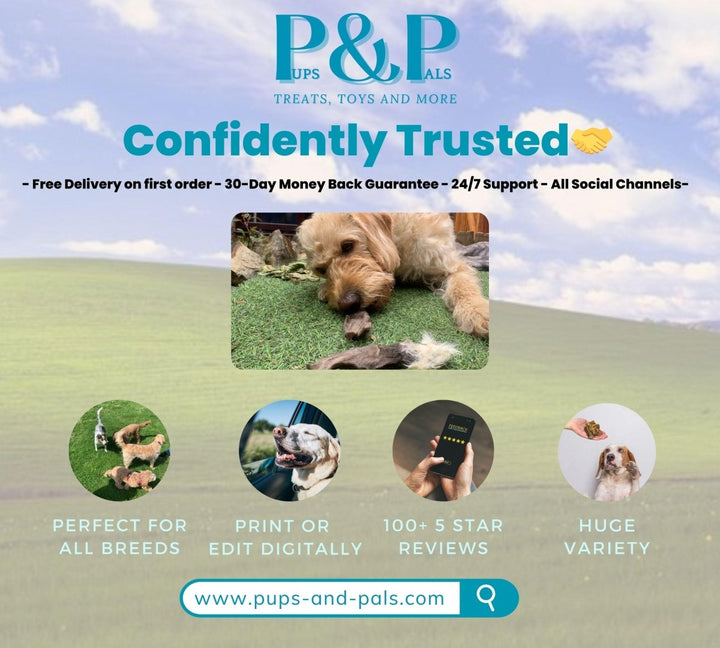 Personal Dog Owner's Planner | Weekly & Monthly Guides + Checklists | Socialisation and Care Tips | Digital Download (Custom) | Perfect Gift Personal Dog Owner's Planner | Weekly & Monthly Guides + Checklists | Socialisation and Care Tips | Digital Download (Custom) | Perfect Gift Pups And Pals