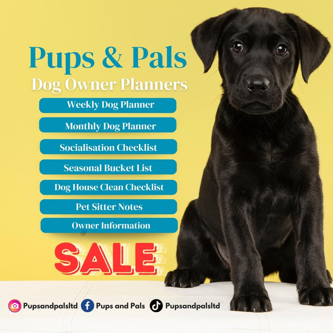 Personal Dog Owner's Planner | Weekly & Monthly Guides + Checklists | Socialisation and Care Tips | Digital Download (Custom) | Perfect Gift Personal Dog Owner's Planner | Weekly & Monthly Guides + Checklists | Socialisation and Care Tips | Digital Download (Custom) | Perfect Gift Pups And Pals